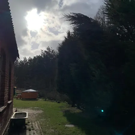 Gesiniec Stare Osieczno