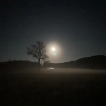 Gesiniec * Stare Osieczno